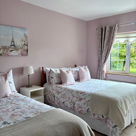 The Lodge Self Catering Castlerea Exteriör bild