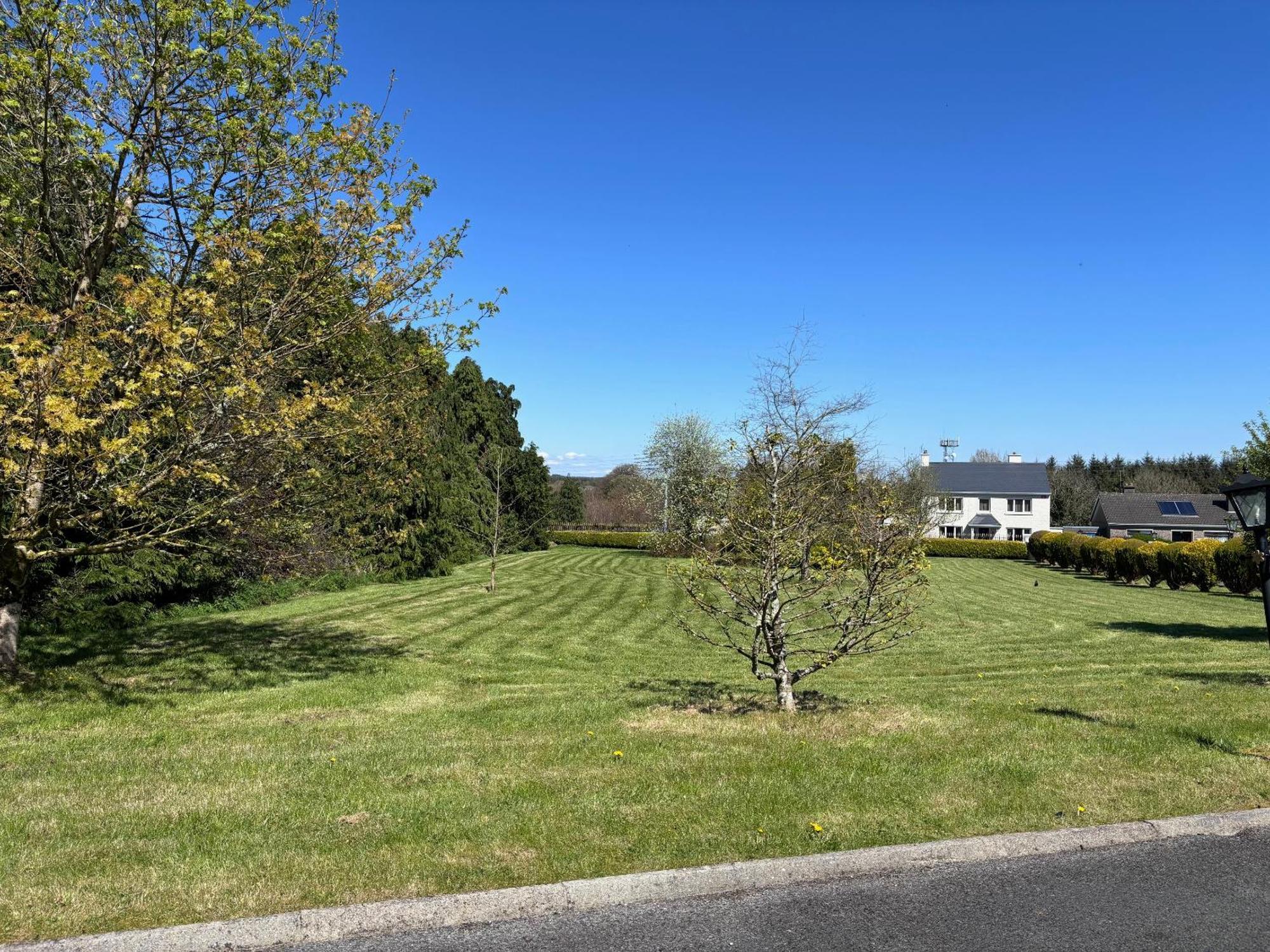 The Lodge Self Catering Castlerea Exteriör bild