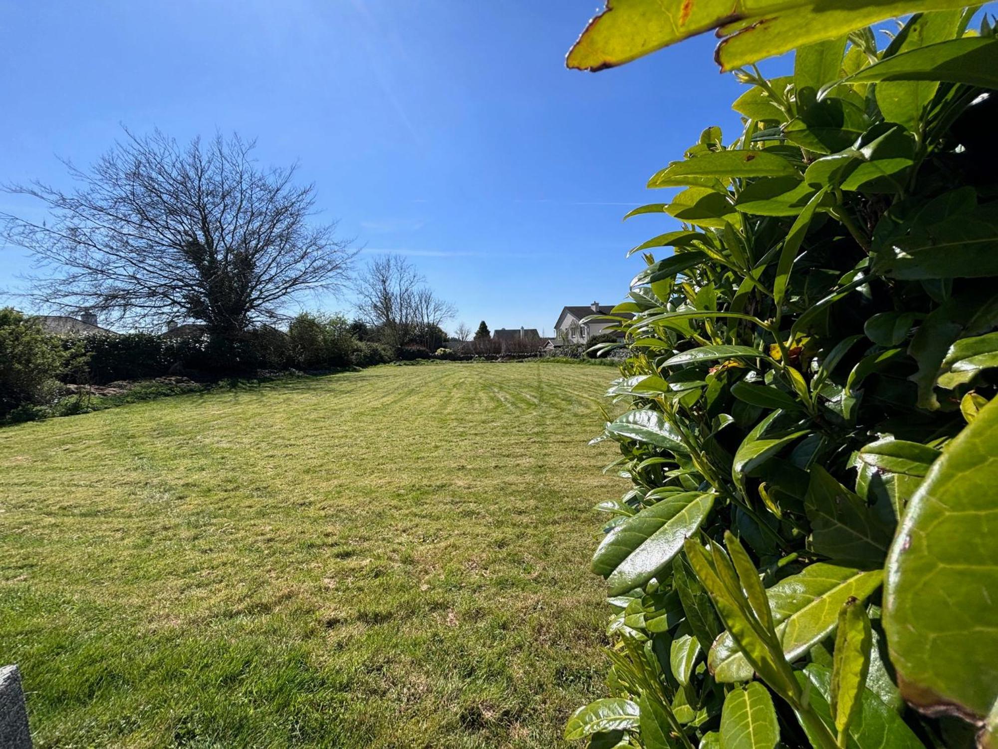 The Lodge Self Catering Castlerea Exteriör bild